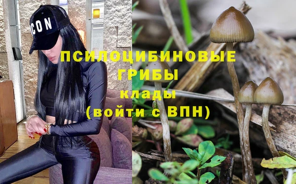 твердый Верхний Тагил