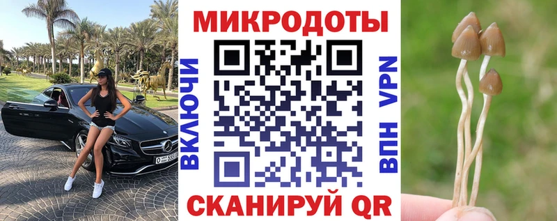 Псилоцибиновые грибы Psilocybe  цены наркотик  Электроугли 